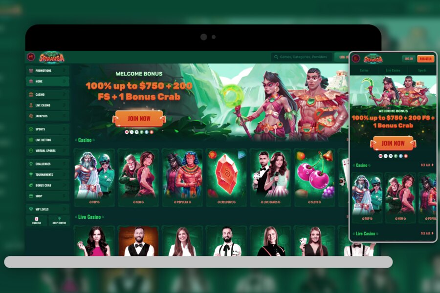 Spinanga Casino : Codes Promo Exclusifs à Découvrir